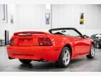 Thumbnail Photo 5 for 2000 Ford Mustang